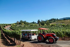 Benziger Biodynamic Vineyard Tractor Tour