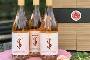 Taft Street Winery Rosé All Day 3 Pack