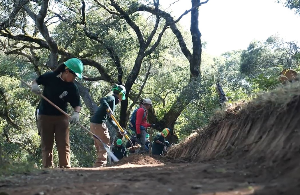 SCVF grant recipients clearing park trails