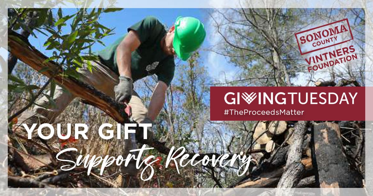 Sonoma County Vintners Giving Tuesday Your Gift Supports Recovery man clearing trees