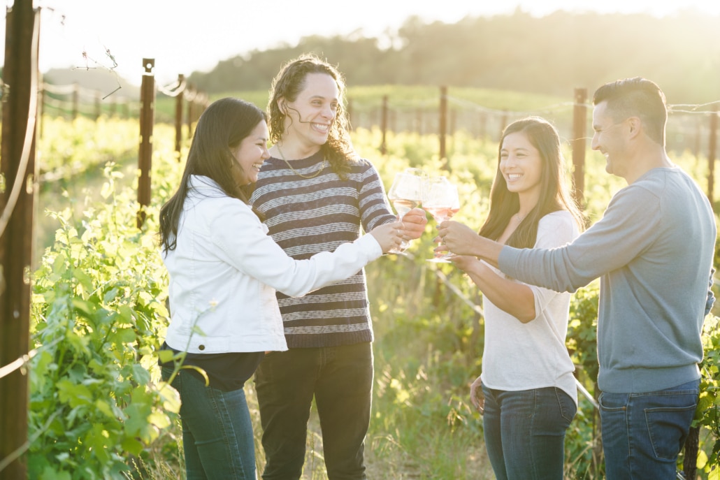 Four people clicking glasses in a cheers while standing in a vineyard
