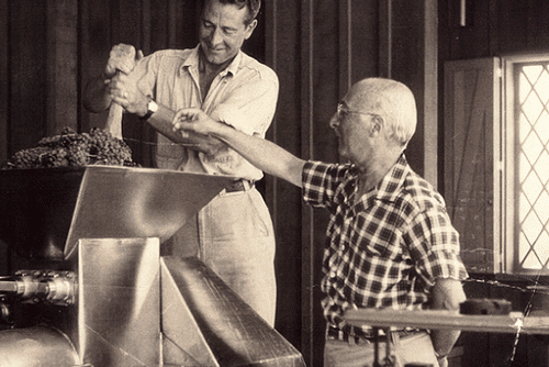 Two men from Hanzell Vineyards pushing wine grapes through a crusher
