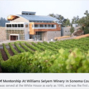 Screenshot of Forbes article with Williams Selyem Winery