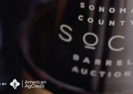 Sonoma County Barrel Auction logo glass