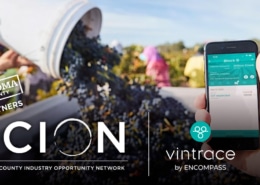 SCION vintrace banner with grapes being poured into a bin and a close up of the vinetrace mobile app