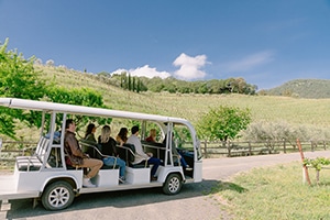 People riding in a white tram through a vineyard