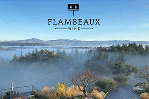 Flambeaux Agricultural Experience view of Dry Creek Valley