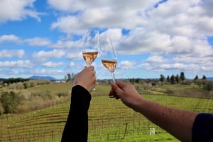 Two glasses of sparkling wine being held in the air in a cheers