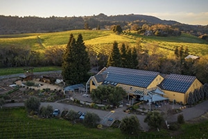 Aerial view of Quivira winery and vineyards