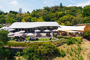 Aerial photo of Twomey winery and vineyard