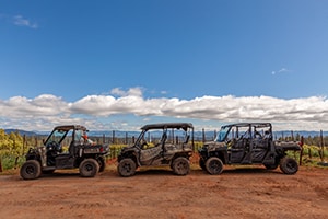 Three UTVs parked in front of a vineyard